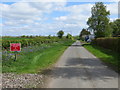 NY3370 : Hedge-lined minor road at Westgillsyke by Peter Wood