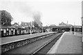 Coal train at Alloa, 1965