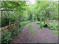 Track and footpath entering West Wood