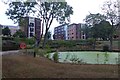 Pond and halls of residence