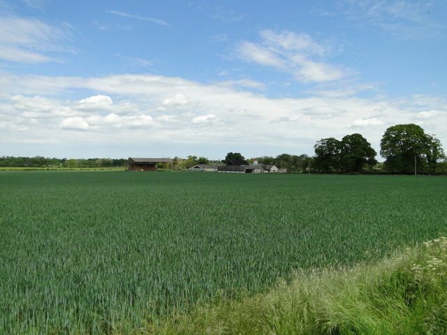 Field Barn beyond the wheat, from Brandon Road