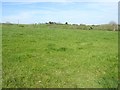 Field near Uzmaston