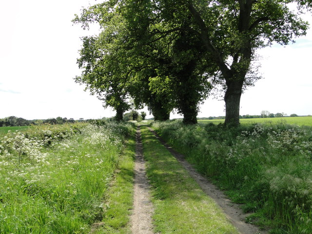 The Peddars Way Cycle Route leads to Merton