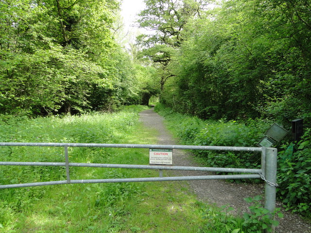 Wayland Wood, a woodland nature walk at Watton