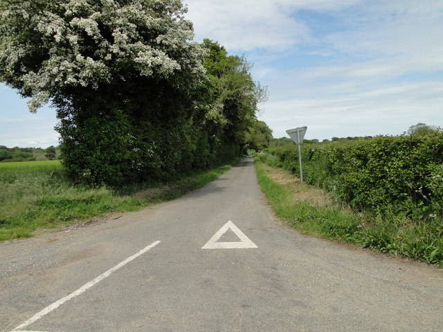Road to Low Common Farm, Merton