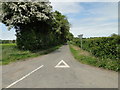 Road to Low Common Farm, Merton