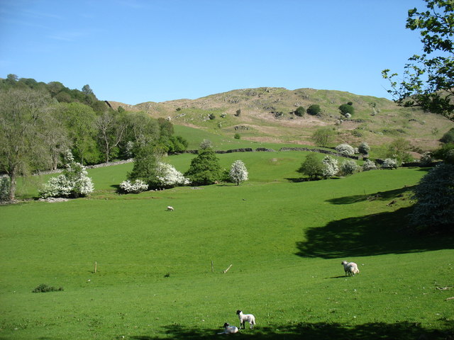 Farmland below The Knott