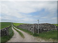 Footpath towards Dam Cliff