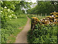 Footpath at Woodside Lathe