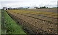 View across a field to Pathhead Nursery