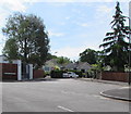 Trees and bungalows, Green Meadow, Waterloo