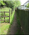 Path on the Machen Forge Trail, Waterloo