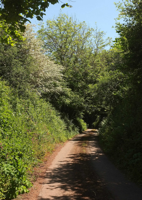 Lane to Luscombe #7 © Derek Harper :: Geograph Britain and Ireland