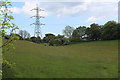ST1684 : Pylon in field below Craig Llanisen by M J Roscoe