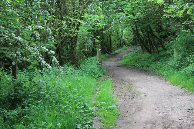 Woodland bridleway, Rhymney Valley Ridgeway Walk