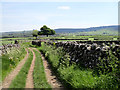 Pennine Bridleway