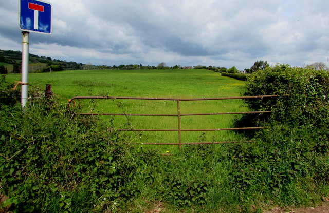 Field gate on an Upper Trewen corner, Herefordshire