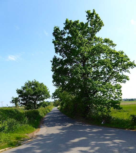 Winchelsea Lane © Simon Carey cc-by-sa/2.0 :: Geograph Britain and Ireland