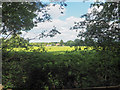 View from Pingo Trail across arable field