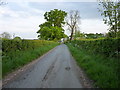 The lane to Somerwood House Farm