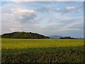 Looking southeast towards The Wrekin