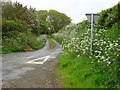 SM8326 : Springtime country road by Philip Halling