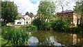 Ewelme pond