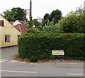 ST6092 : Camp Road name sign in a hedge, Oldbury-on-Severn  by Jaggery