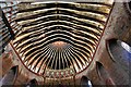 TQ0039 : Hascombe, St. Peter's Church: The richly painted roof 1 by Michael Garlick