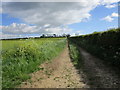 Track to Welham Wold Farm