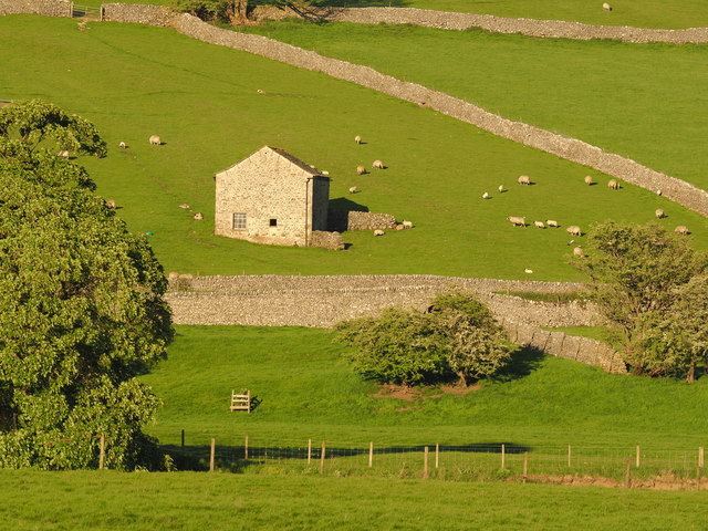 An Upper Wharfedale Barn in the Evening Sunshine