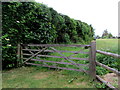 Wooden gate, Featherbed Lane, Oldbury-on-Severn