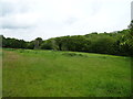 Grazing and woodland near the River Alyn, Bradley