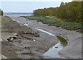 Flint Dock tidal creek