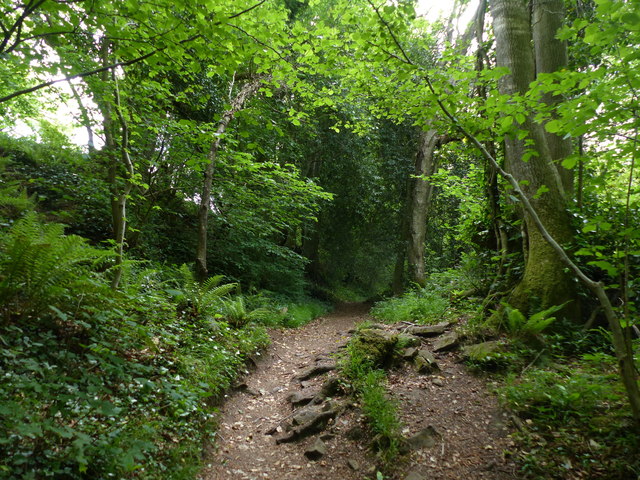 The Offa's Dyke trail heading to Devil's Pulpit