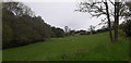 Sheep Pasture by The River Laver at Gate Bridge