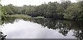 Top of the Weir - Pateley Bridge