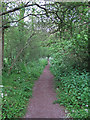 Bridleway nr Queens Park Country Park, Billericay