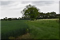 Footpath towards Clopton