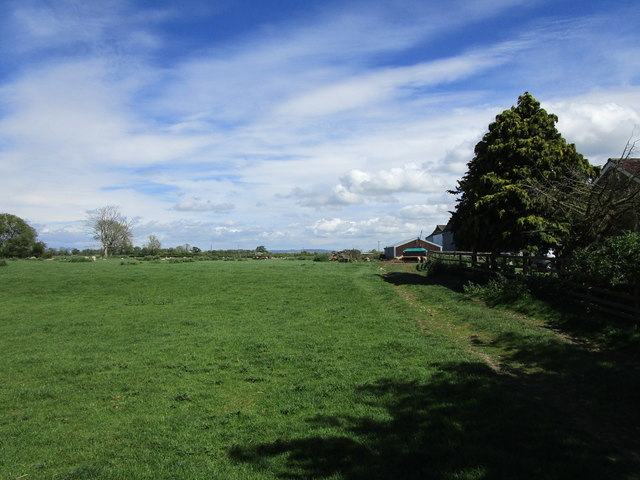 Grassland at Great Habton