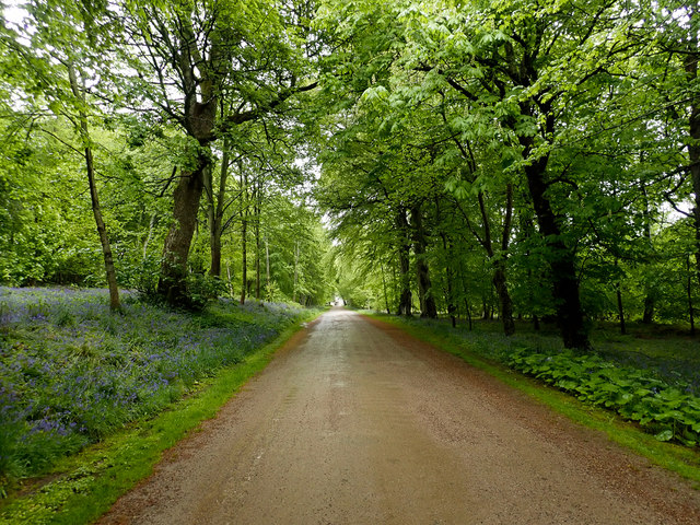 Kennethmont, Aberdeenshire - area information, map, walks and more