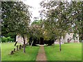 Tree lined path to St Michael and All Angels Church in Fringford