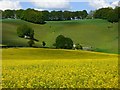 SU2578 : Farmland, Aldbourne by Andrew Smith