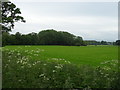 Farmland and woodland near Barn Farm