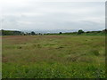 Grassland off Neston Road, Burton