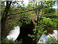 Gubberford Bridge, River Wyre