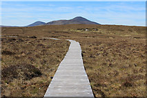NC8842 : Dubh Lochan Trail by Chris Heaton