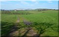 Field beside Auchincarroch Road