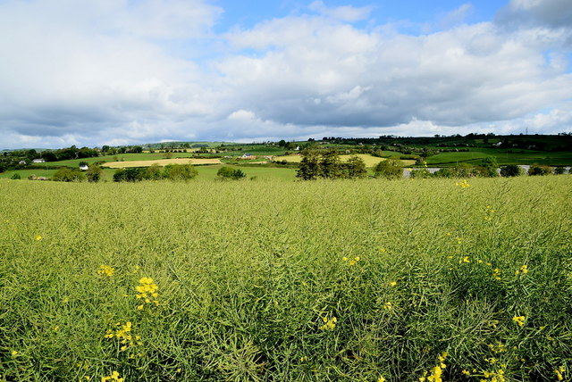 Carnkenny Townland © Kenneth Allen cc-by-sa/2.0 :: Geograph Ireland