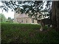 SO6140 : Cat at St. Philip & St. James' Church (Tarrington) by Fabian Musto